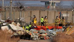 South Korea Plane Crash Bird Strike